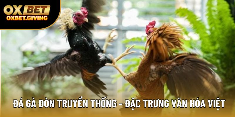 Đá gà đòn truyền thống - đặc trưng văn hóa Việt Đá gà đòn truyền thống - đặc trưng văn hóa Việt