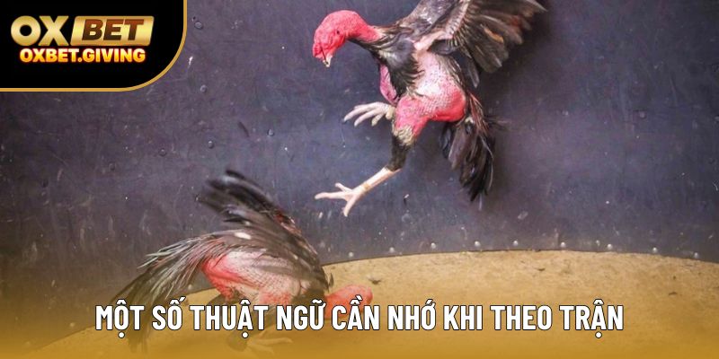 Một số thuật ngữ cần nhớ khi theo trận Một số thuật ngữ cần nhớ khi theo trận