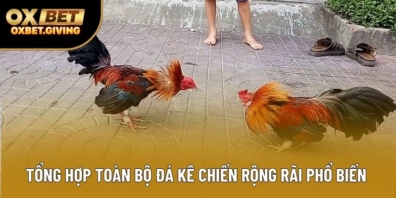 Tổng hợp toàn bộ đá kê chiến rộng rãi phổ biến  Tổng hợp toàn bộ đá kê chiến rộng rãi phổ biến